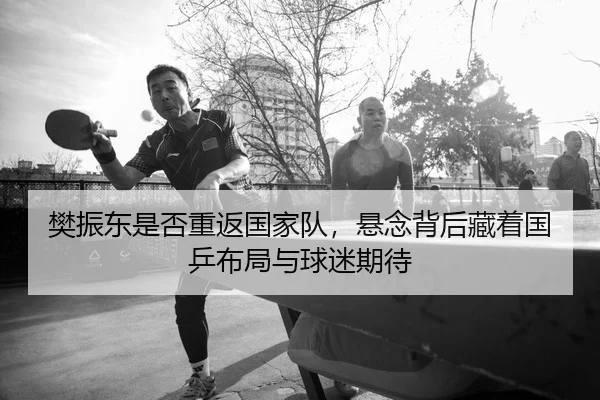 樊振东是否重返国家队，悬念背后藏着国乒布局与球迷期待（bet365）